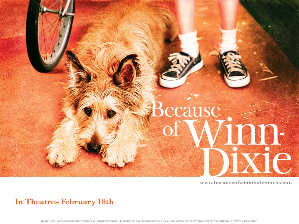 Винн дикси. Благодаря Винн Дикси 2005 Постер. Благодаря Винн Дикси (2005) обложки диска. Фото Винн Дикси собака.